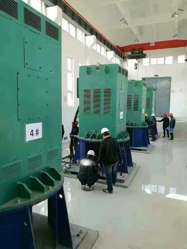 乌烈镇某污水处理厂使用我厂的立式高压电机安装现场
